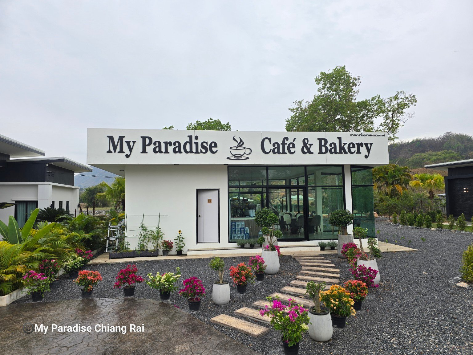Café & Bakery